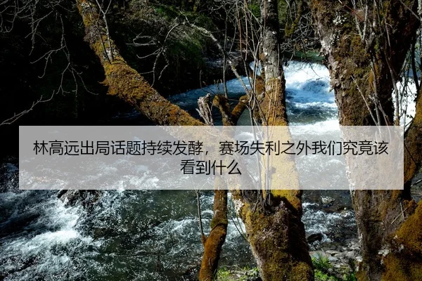 林高远出局话题持续发酵，赛场失利之外我们究竟该看到什么